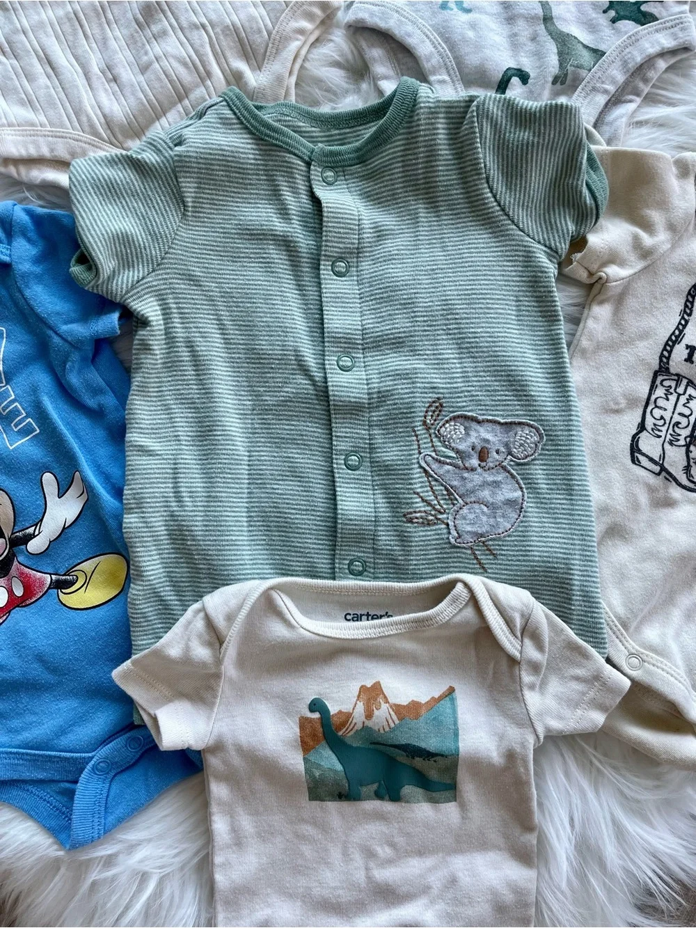 Carters six carter